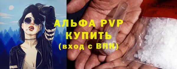 амф Богданович