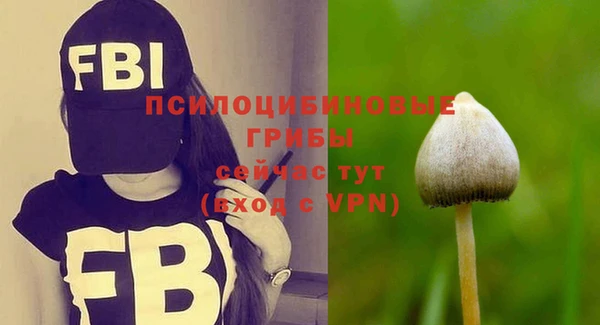 MDMA Premium VHQ Богородск