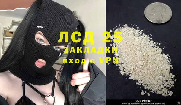 амф Богданович