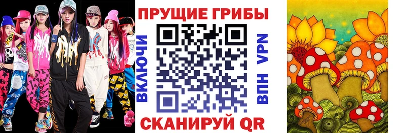 ссылка на мегу tor  Будённовск  Псилоцибиновые грибы MAGIC MUSHROOMS  продажа наркотиков 